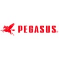 Pegasus