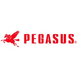 Pegasus