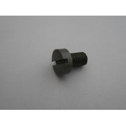 Strobel 131.001